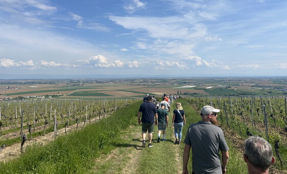 Herrliche Aussichten auf Straßburg, den Schwarzwald und die Vogesen boten sich während der Wanderung.