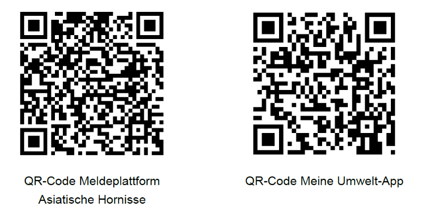 Asiatische Hornisse QR Codes